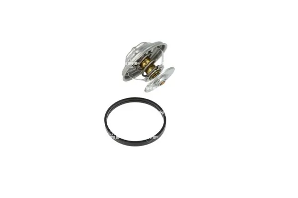 Termostat lichid racire
