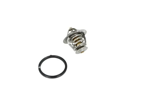 Termostat lichid racire