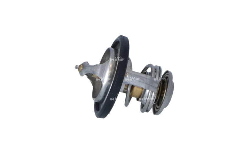 Termostat lichid racire
