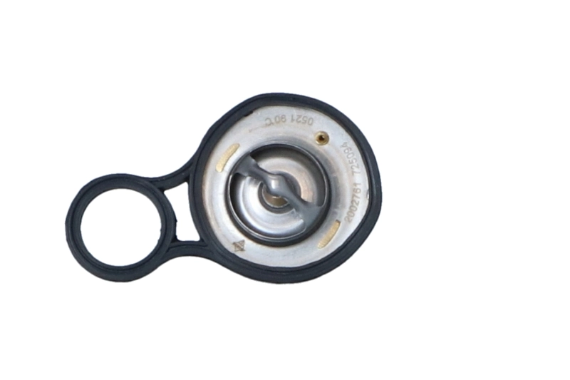 Termostat lichid racire