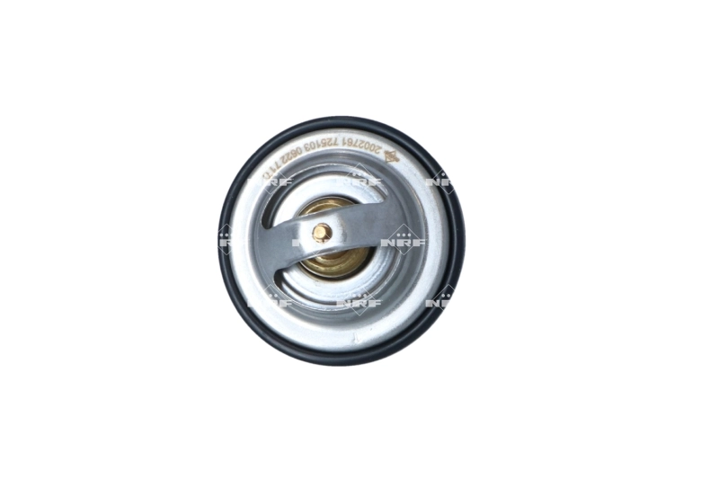 Termostat lichid racire