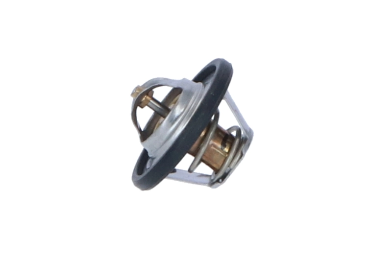 Termostat lichid racire