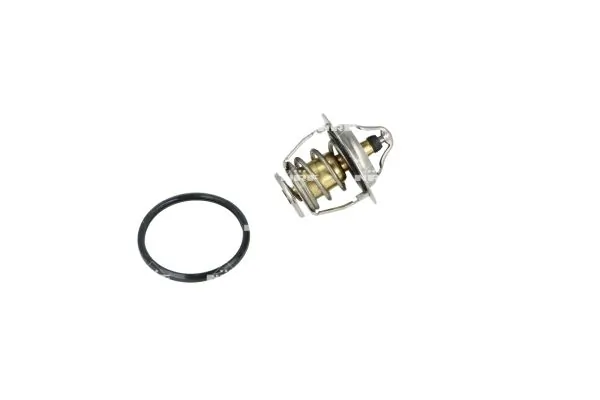 Termostat lichid racire