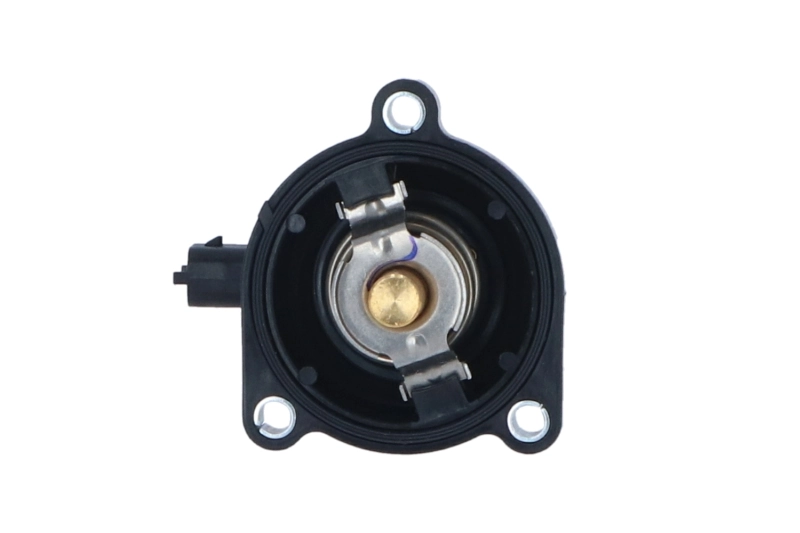Termostat lichid racire