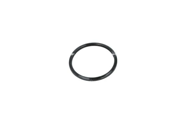 Termostat lichid racire