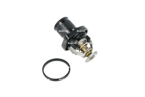 Termostat lichid racire