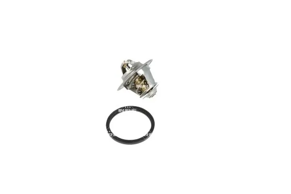 Termostat lichid racire