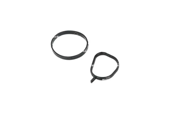 Termostat lichid racire