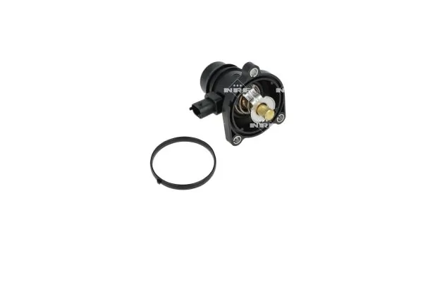 Termostat lichid racire