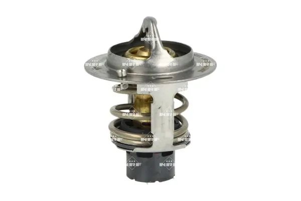 Termostat lichid racire