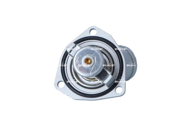 Termostat lichid racire