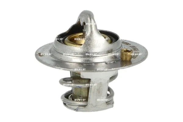 Termostat lichid racire