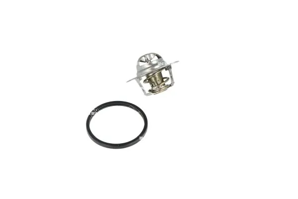 Termostat lichid racire