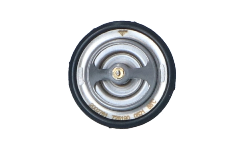 Termostat lichid racire
