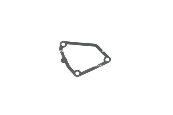 Termostat,lichid racire