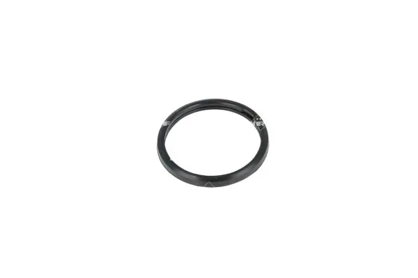 Termostat lichid racire