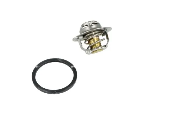 Termostat lichid racire