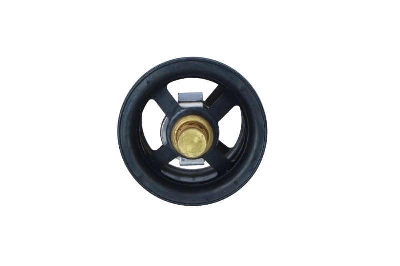 Termostat lichid racire