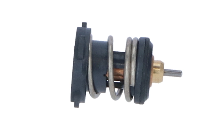 Termostat lichid racire