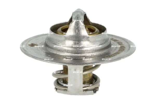 Termostat lichid racire