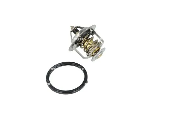 Termostat lichid racire