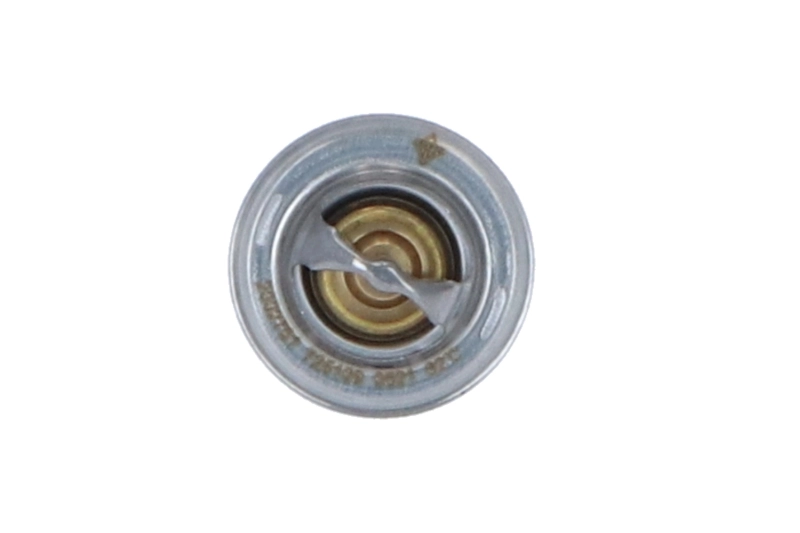 Termostat lichid racire