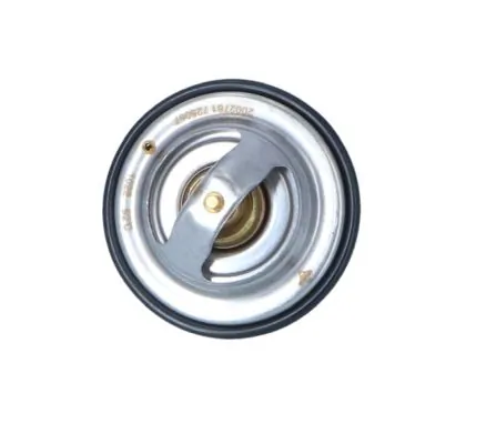 Termostat lichid racire