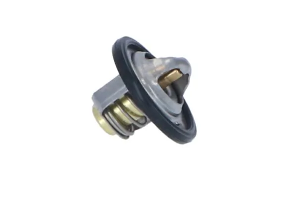Termostat lichid racire