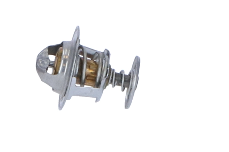 Termostat lichid racire