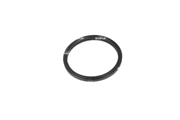 Termostat lichid racire