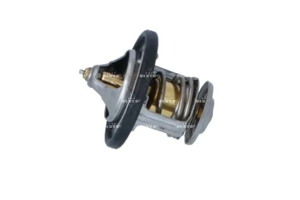 Termostat lichid racire