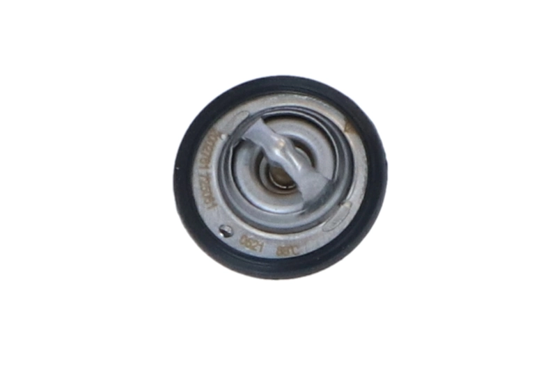 Termostat lichid racire