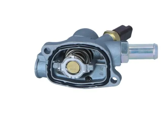 Termostat lichid racire