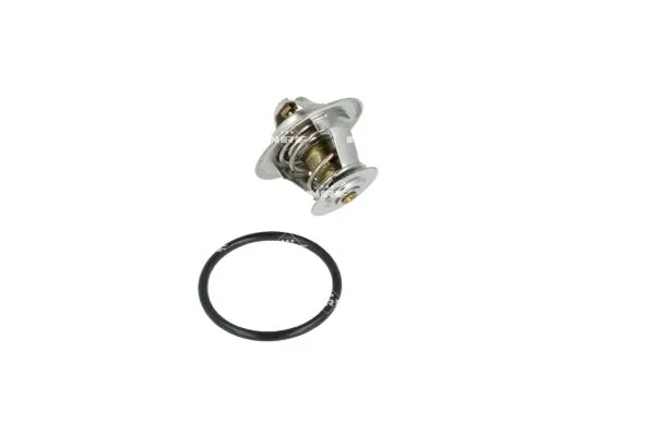 Termostat lichid racire