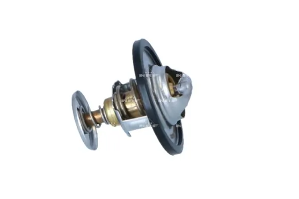 Termostat lichid racire