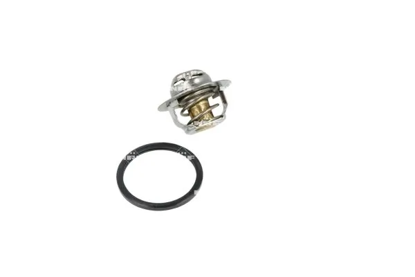 Termostat lichid racire