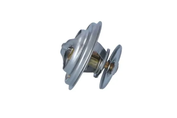 Termostat lichid racire