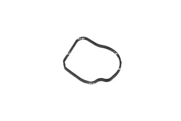 Termostat,lichid racire