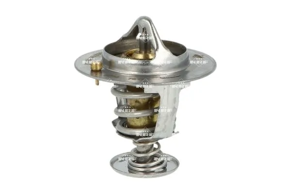 Termostat lichid racire