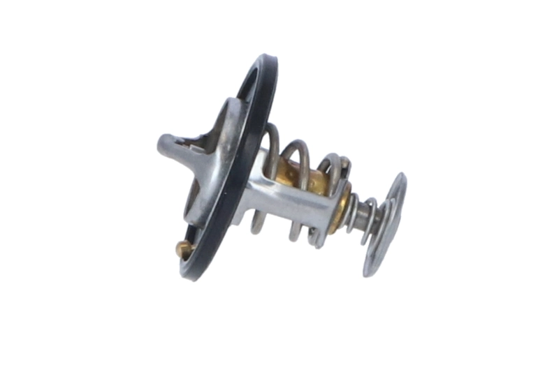 Termostat lichid racire