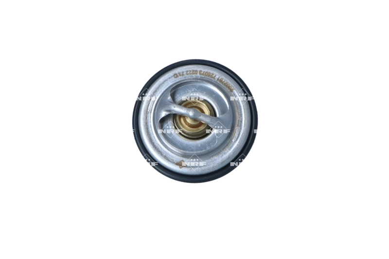 Termostat lichid racire