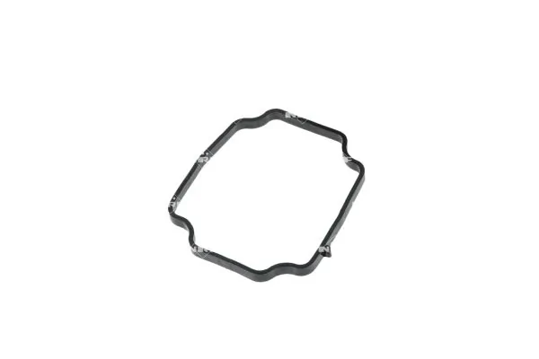 Termostat lichid racire