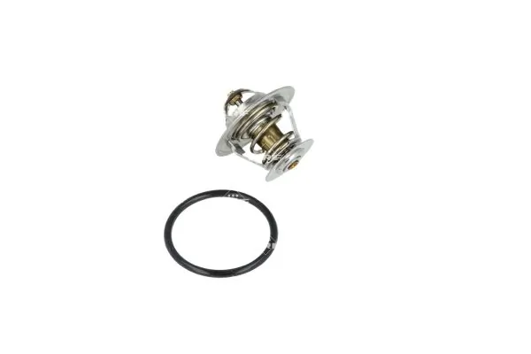Termostat lichid racire