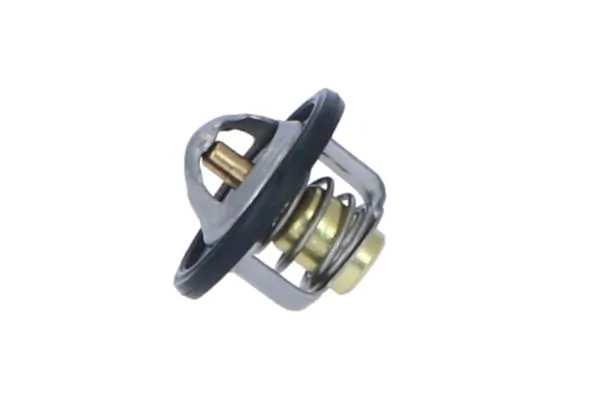 Termostat lichid racire
