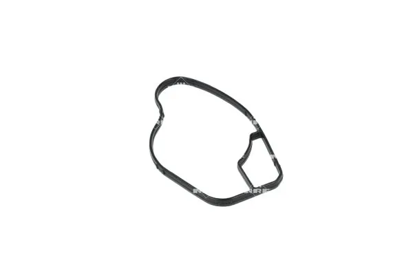 Termostat lichid racire