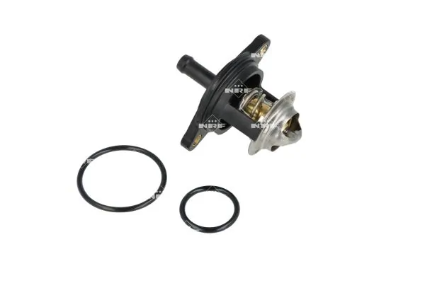 Termostat lichid racire