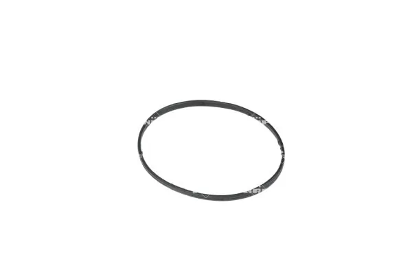 Termostat,lichid racire