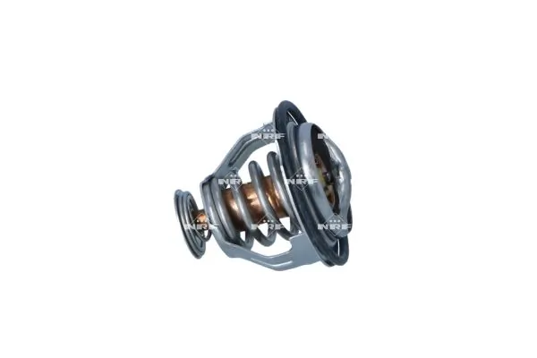 Termostat lichid racire