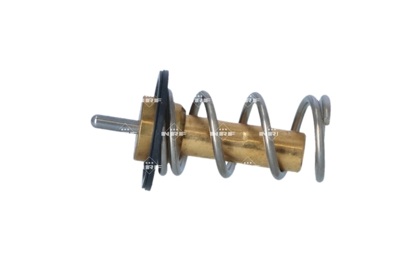 Termostat lichid racire