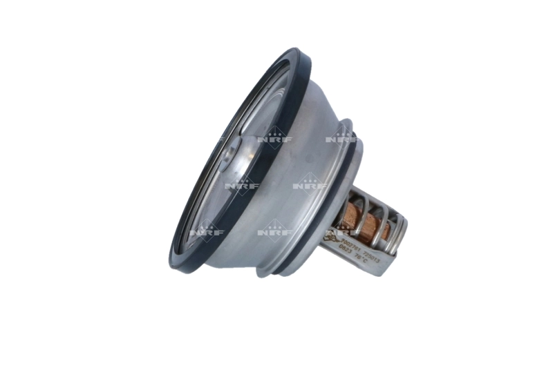 Termostat lichid racire